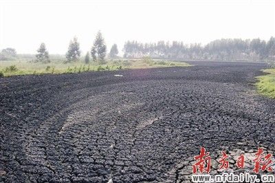 由于傾倒時間較長,污泥污水已有下滲跡象,但具體危害尚待全面評估。南方日報記者 葉能軍 攝 由于傾倒時間較長,污泥污水已有下滲跡象,但具體危害尚待全面評估。南方日報記者 葉能軍 攝