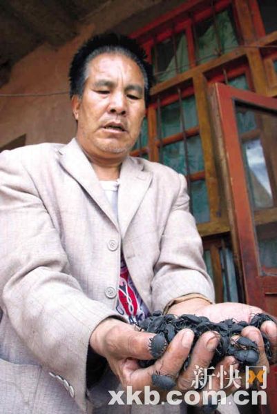興隆村肺癌患者王建有因經(jīng)濟(jì)困難,吃活臭蟲治療肺癌。 興隆村肺癌患者王建有因經(jīng)濟(jì)困難,吃活臭蟲治療肺癌。