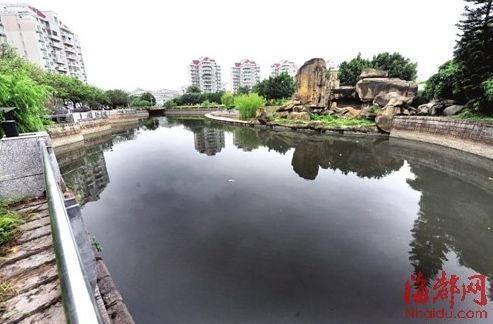 截污管破裂，大量工業廢水排進內河；附近小區糞水直排，導致河水惡臭。