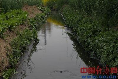 污水在郭莊村附近流入奎旺河的一條支流,順著河道流入上蔡縣,匯入沙河。 污水在郭莊村附近流入奎旺河的一條支流,順著河道流入上蔡縣,匯入沙河。
