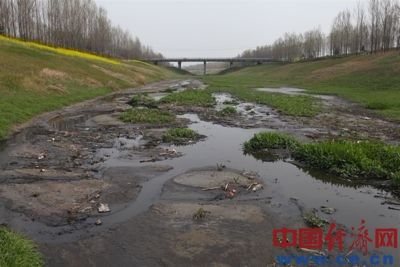 污水在河道中流淌、蔓延、下滲,已經污染了附近村民賴以生存的地下水源。 污水在河道中流淌、蔓延、下滲,已經污染了附近村民賴以生存的地下水源。