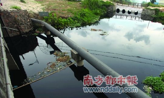 珠海中山跨界水污染。南都記者馬強 攝 珠海中山跨界水污染。南都記者馬強 攝