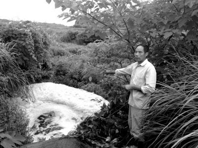污水流經(jīng)下游灌溉水塘，產(chǎn)生大量泡沫。