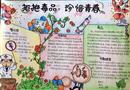 手抄報：拒絕毒品 珍惜青春