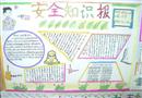 手抄報：安全綠葉