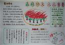 手抄報：森林防火，人人有責