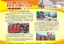 遠離火災我們須行動宣教掛圖