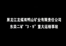 黑龍江龍煤雙鴨山礦業有限責任公司東榮二礦“3·9”重大運輸事故