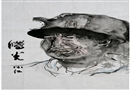 曙光