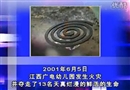 校園安全自救自護