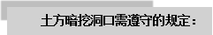 文本框: 土方暗挖洞口需遵守的規定：