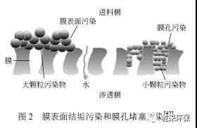 微信圖片_20200311093741.jpg