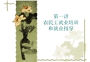 農(nóng)民工就業(yè)培訓和就業(yè)指導
