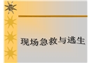 安全培訓之現(xiàn)場急救與逃生