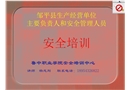 綜合應急救援與事故處理