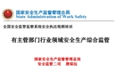 有主管部門行業(yè)領(lǐng)域安全生產(chǎn)綜合監(jiān)管