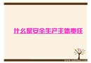 什么是安全生產(chǎn)主體責(zé)任