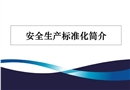 安全標(biāo)準(zhǔn)化基礎(chǔ)知識及考評方法