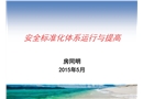 安全標(biāo)準(zhǔn)化體系運(yùn)行與提高