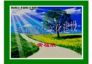 安全文化(廠長主任培訓)