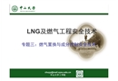 燃氣置換與成分控制安全技術