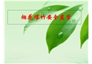 煙花爆竹安全監管分析