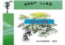 安全生產(chǎn)監(jiān)督