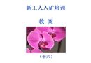 新工人入礦培訓