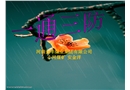 一通三防基礎(chǔ)培訓(xùn)課件