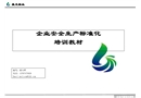 企業(yè)安全生產(chǎn)標準化培訓(xùn)教材