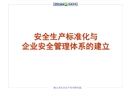 安全生產(chǎn)標(biāo)準(zhǔn)化與企業(yè)安全管理體系的建立