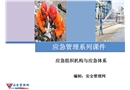 應(yīng)急組織機(jī)構(gòu)與應(yīng)急體系