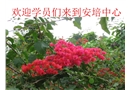 礦山供電安全管理