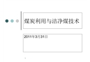 煤炭利用與清潔煤技術
