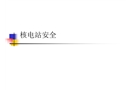 核電站安全分析