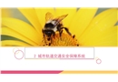 城市軌道交通安全保障系統