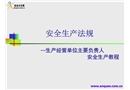 安全生產(chǎn)法規(guī)—生產(chǎn)經(jīng)營單位主要負責人安全生產(chǎn)教程