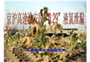 京滬高速淮安段“3.29”液氯泄漏特大事故搶險救援