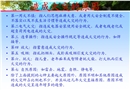 消防事故案例