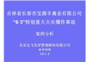 吉林省長春市寶源豐禽業(yè)有限公司63特別重大火災(zāi)爆炸事故案例