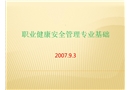 職業健康安全管理專業基礎