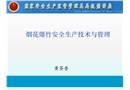 煙花爆竹安全生產技術與管理