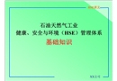 石油天然氣工業(yè)健康、安全與環(huán)境（HSE）管理體系基礎(chǔ)知識