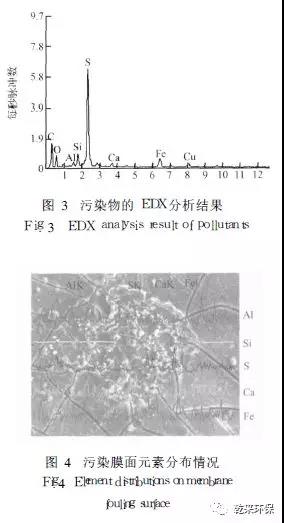 微信圖片_20200430150141.jpg