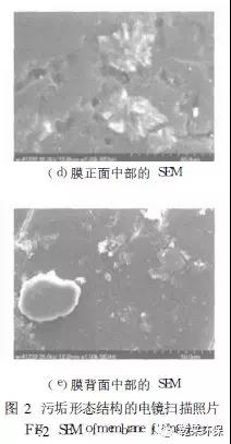 微信圖片_20200430150117.jpg