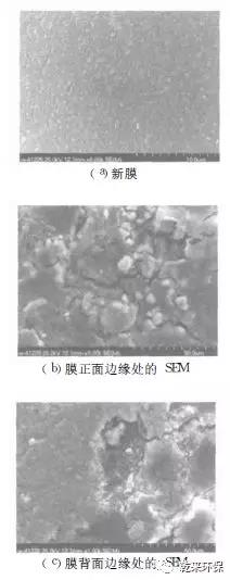 微信圖片_20200430150104.jpg