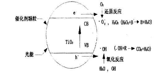 微信截圖_20200804141309.png