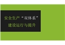 安全生產雙體系建設運行與提升