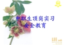 頂崗實習的安全教育