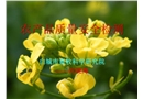 農產品質量安全檢測